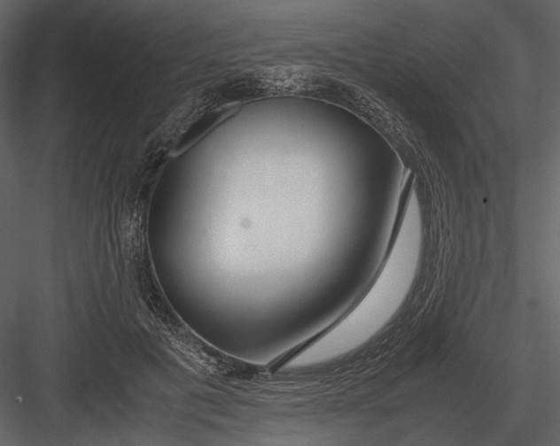 X0000083000601200702230129