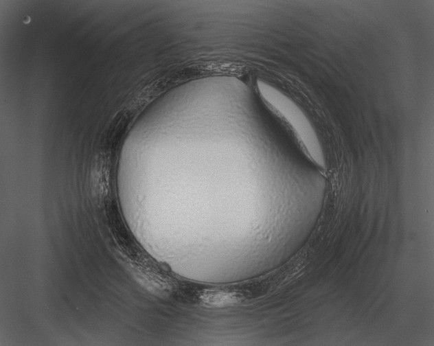 X0000083000602200702230128