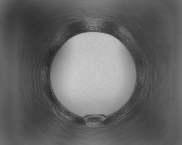 X0000083000603200702230128