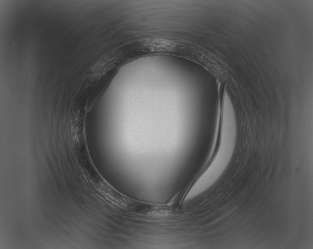 X0000083000604200702230128