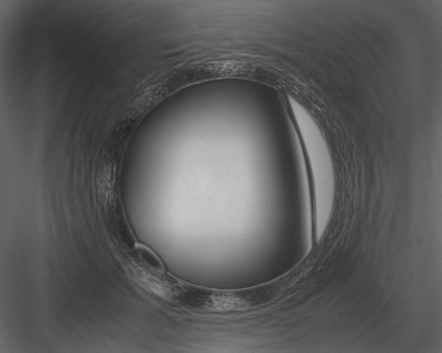 X0000083000605200702230128