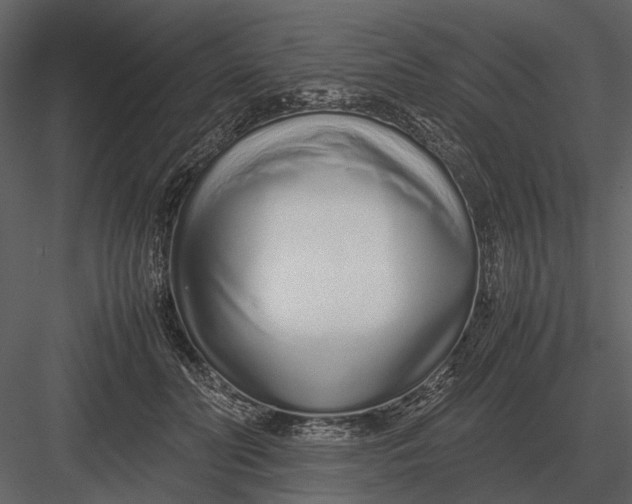 X0000083000606200702230128