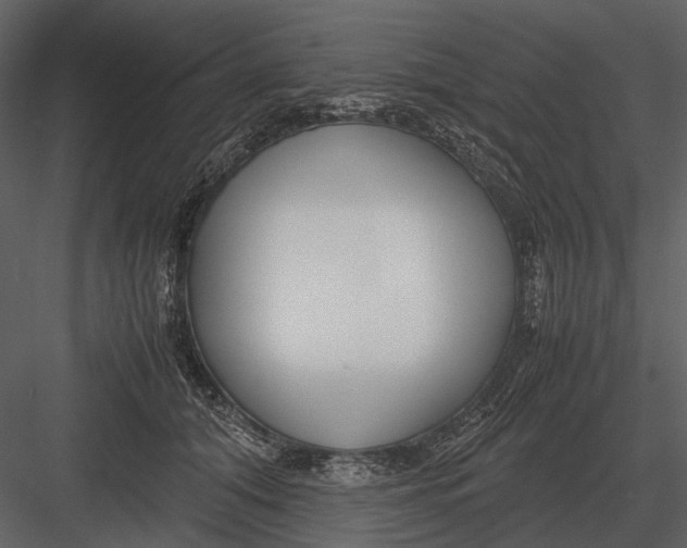 X0000083000608200702230128