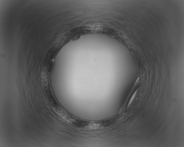 X0000083000609200702230128