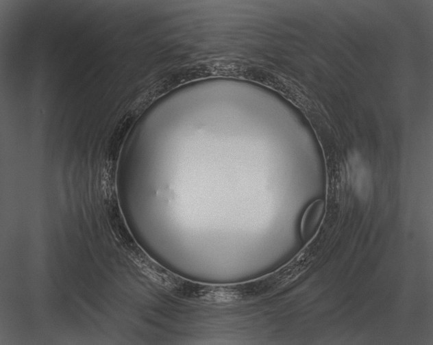 X0000083000610200702230128