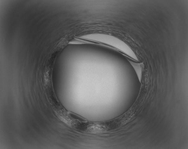 X0000083000611200702230128