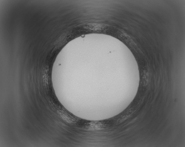 X0000083000612200702230128