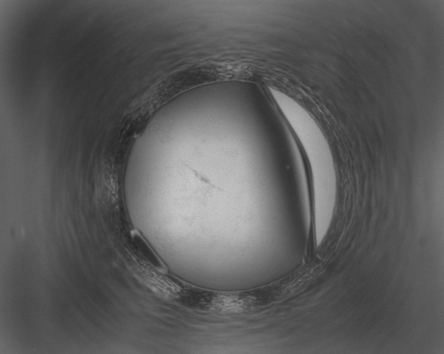 X0000083000613200702230128