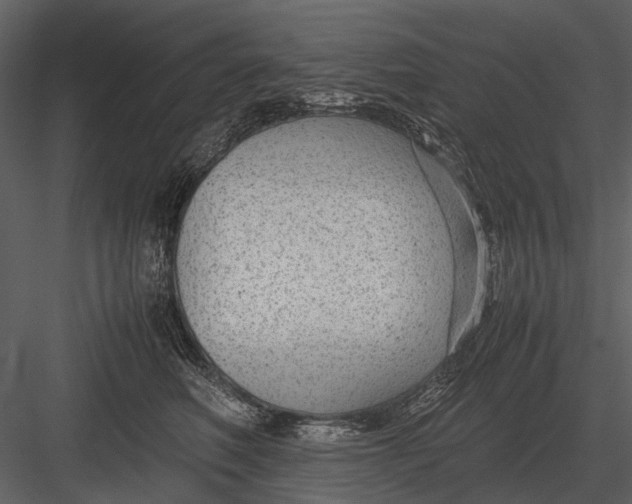 X0000083000614200702230128