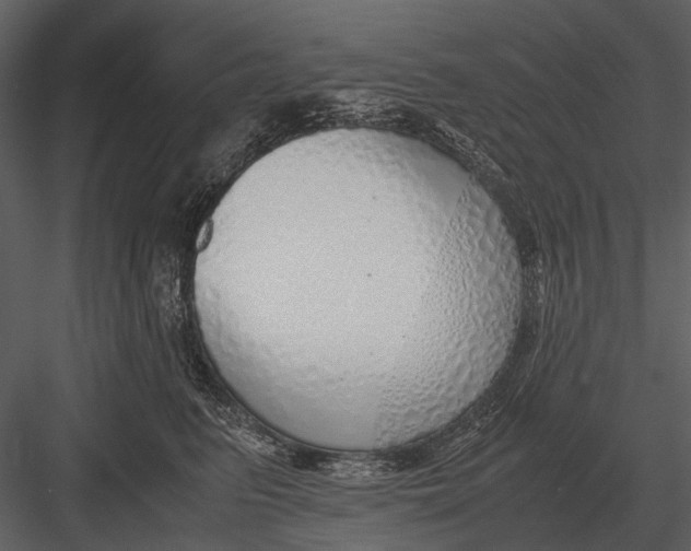 X0000083000615200702230128