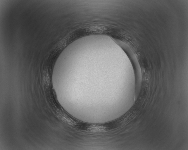 X0000083000617200702230128