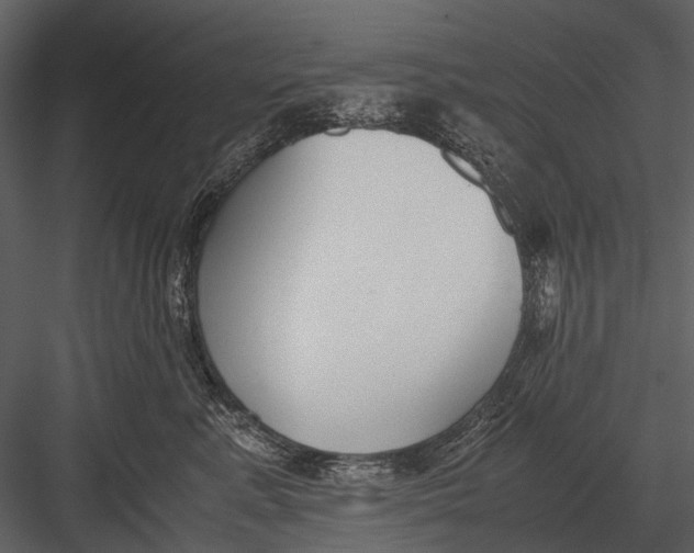 X0000083000619200702230128