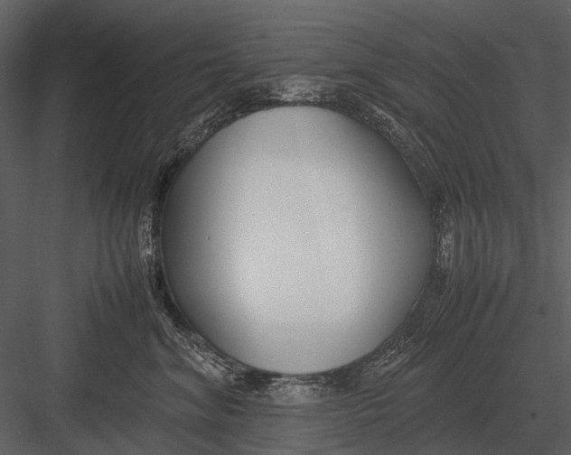 X0000083000620200702230128