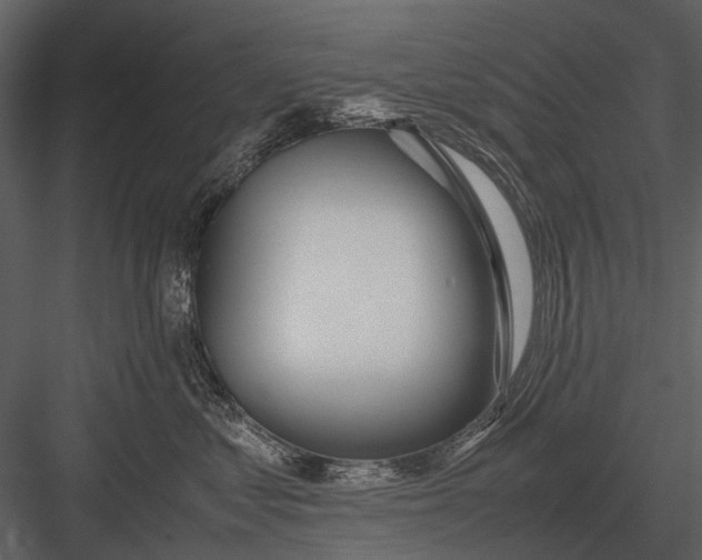 X0000083000621200702230128