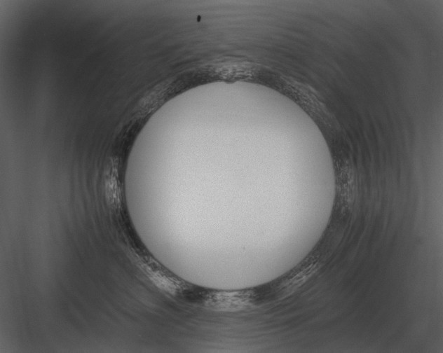 X0000083000622200702230128