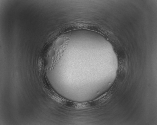 X0000083000623200702230128