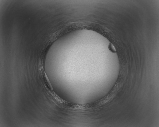 X0000083000624200702230128