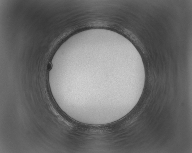 X0000083000625200702230127