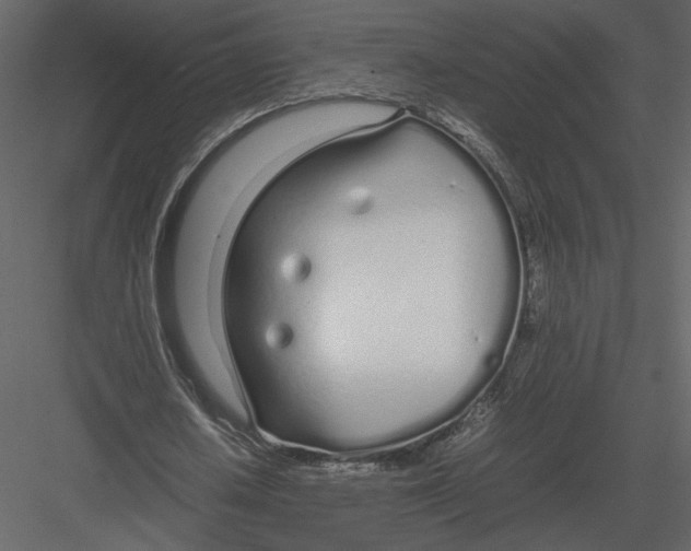 X0000083000626200702230127