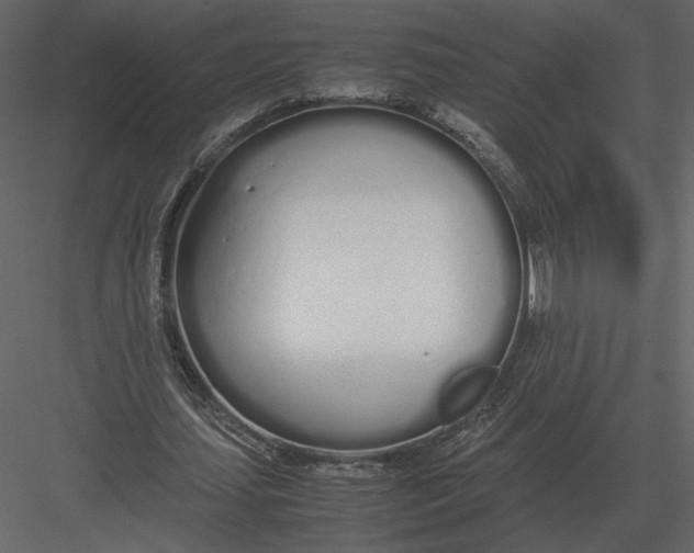 X0000083000627200702230127