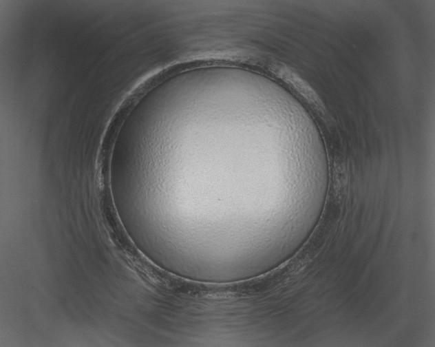 X0000083000628200702230127