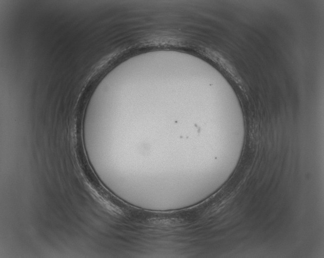 X0000083000629200702230127