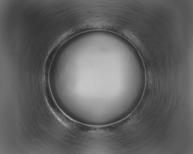 X0000083000630200702230127