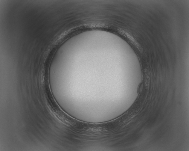 X0000083000631200702230127