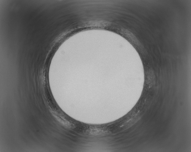 X0000083000632200702230127