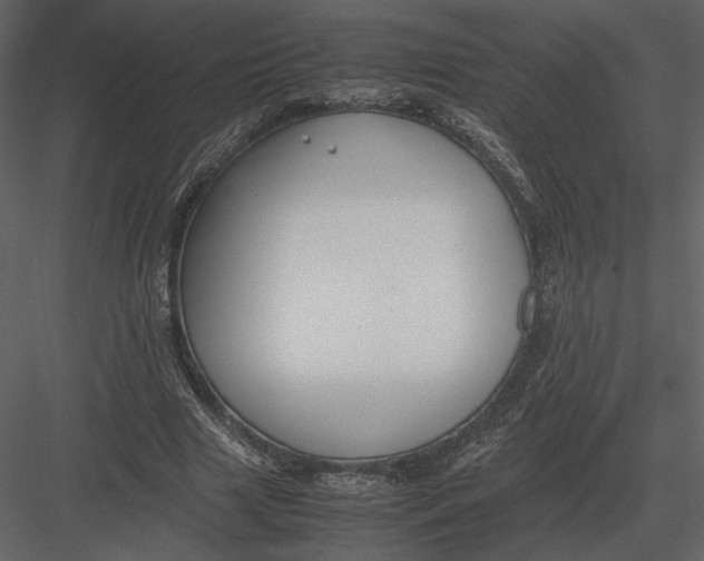 X0000083000633200702230127