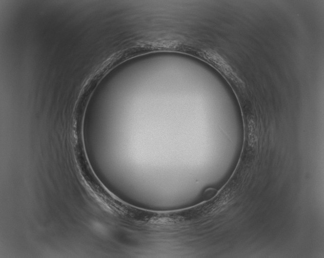 X0000083000634200702230127