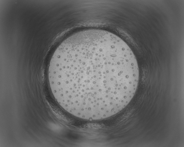 X0000083000636200702230127