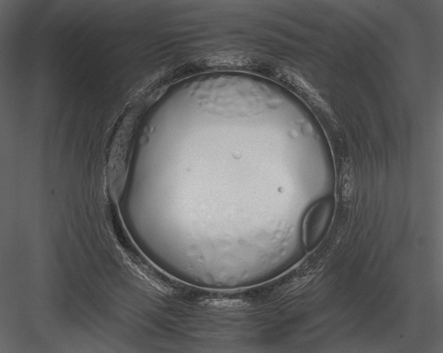 X0000083000637200702230128