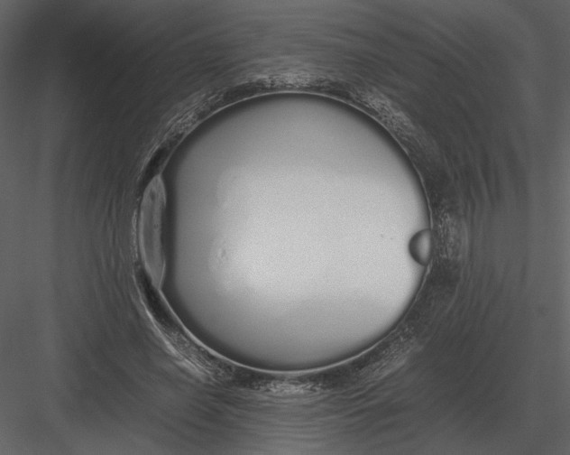 X0000083000638200702230128