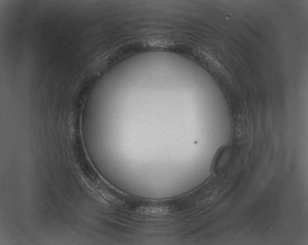 X0000083000639200702230128