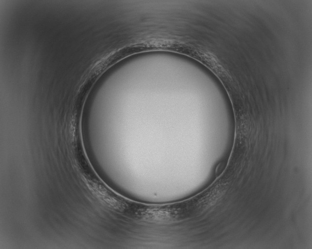 X0000083000640200702230128