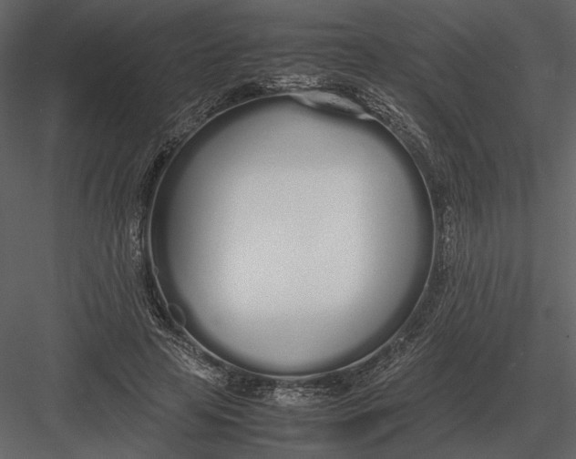 X0000083000641200702230128