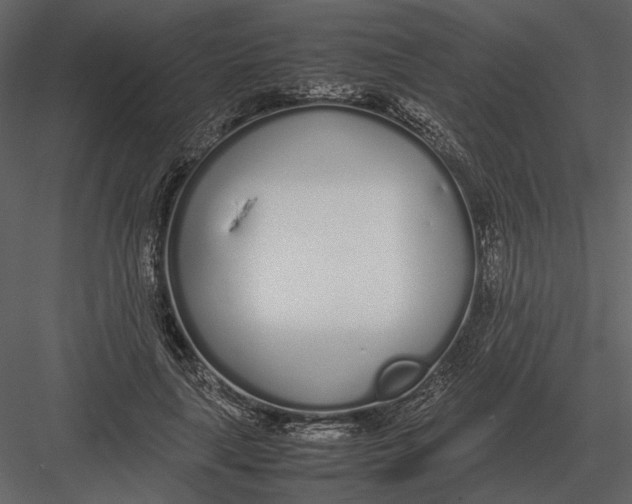 X0000083000643200702230128