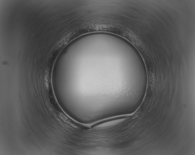 X0000083000644200702230128