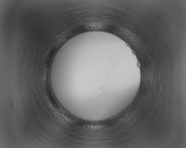 X0000083000645200702230128