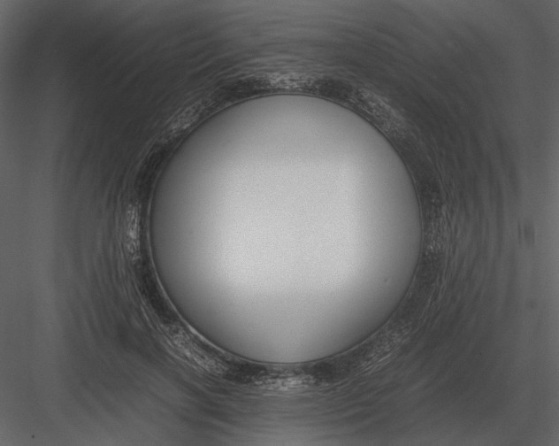 X0000083000646200702230128