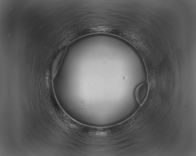 X0000083000647200702230128