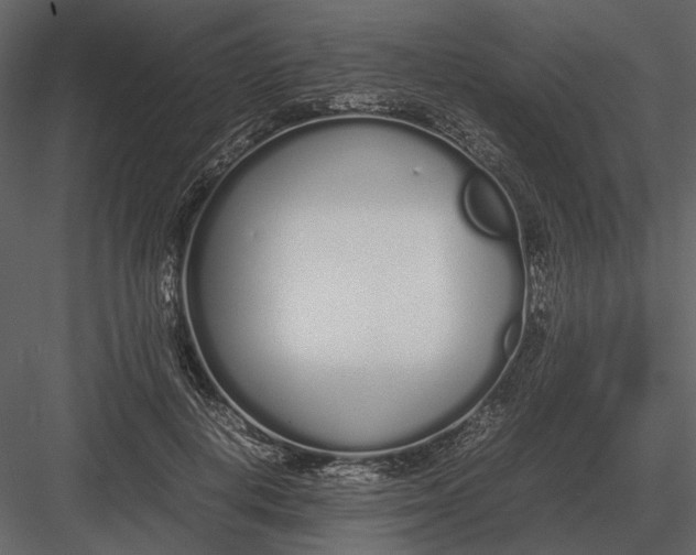 X0000083000648200702230128