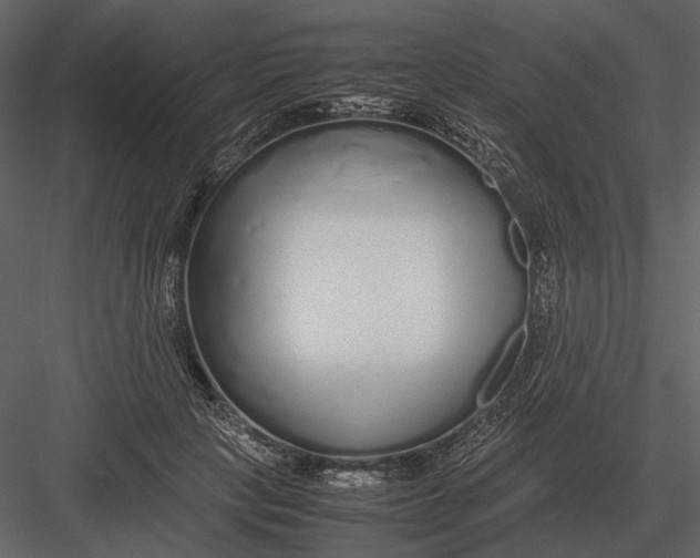 X0000083000649200702230128