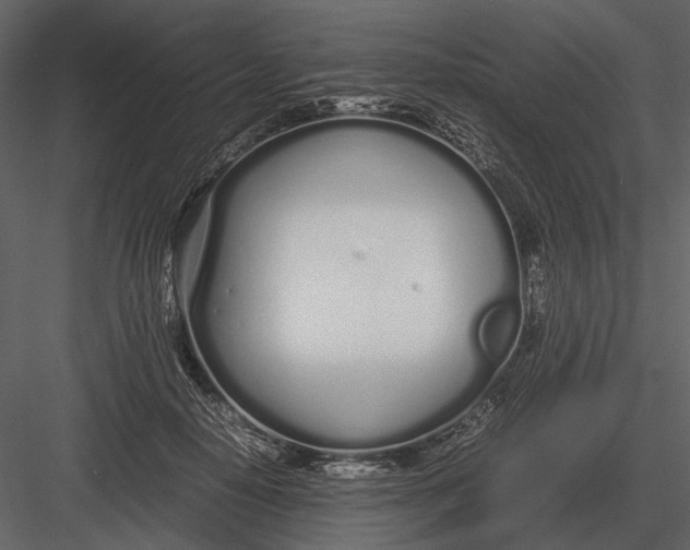 X0000083000650200702230128