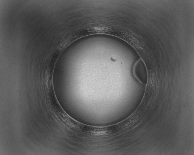 X0000083000651200702230128