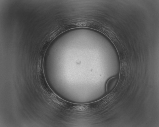 X0000083000652200702230128