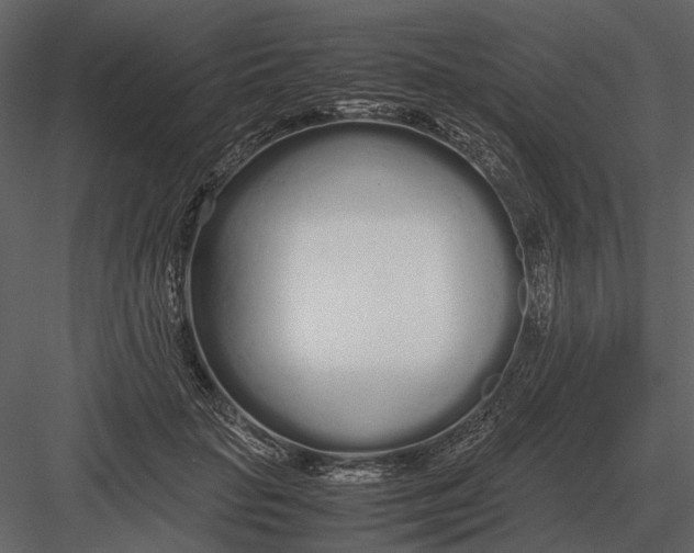 X0000083000653200702230128