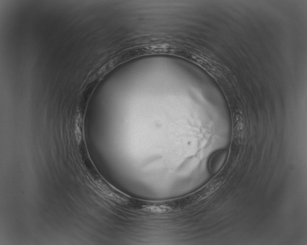 X0000083000654200702230128