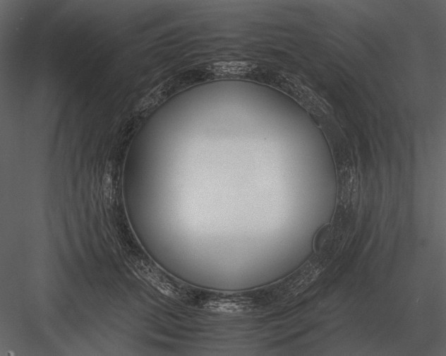 X0000083000655200702230128